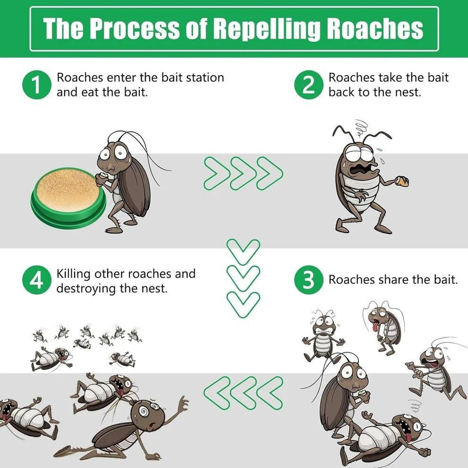 Rumojo Cockroach Killer Gel (Pack of 2)